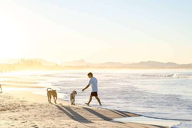 istock Man with dogs on beach 2224835140