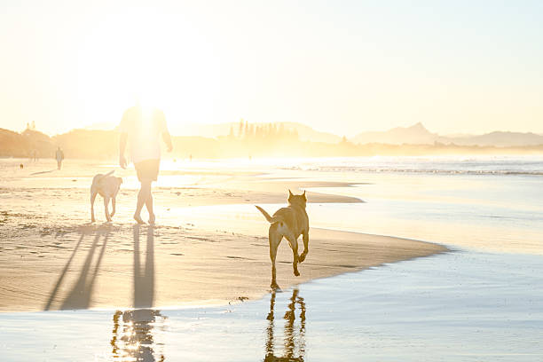 istock Man with dogs on beach 2224835160