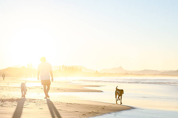 istock Man with dogs on beach 2224835166