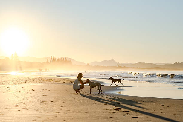 woman on beach with dogs