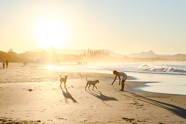 istock woman on beach with dogs 2224835289
