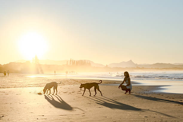 istock woman on beach with dogs 2224835361