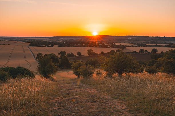 istock Sunset illuminating rolling hills and fields of gold 2224835799