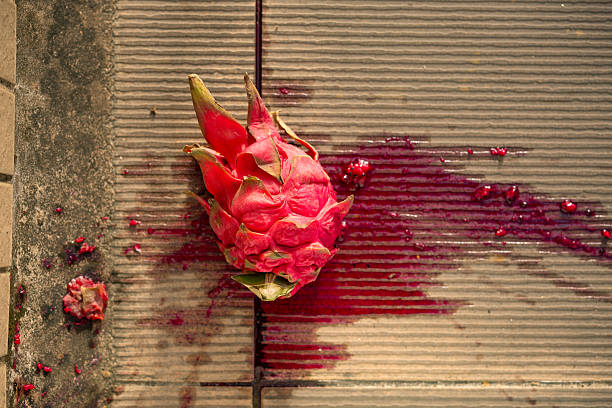 top view smashed red-fleshed dragon fruit on the ground