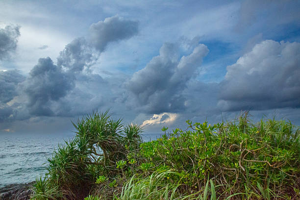 Dramatic summer scenery of Amami Oshima