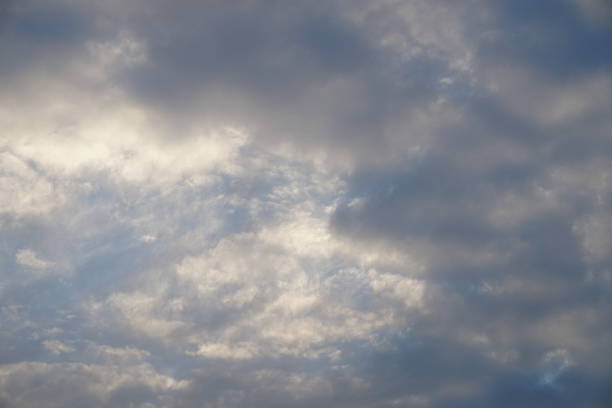 Beautiful blue sky filled with textured altocumulus clouds