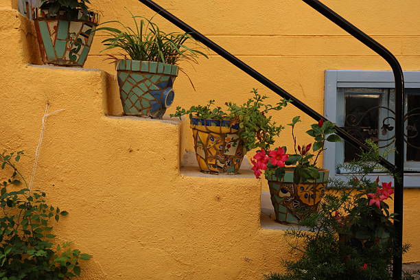 Sunny view in Collioure