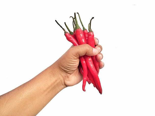 Man hand holding fresh red chili isolated on white background