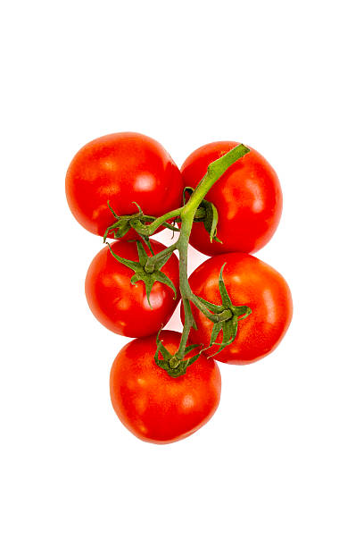 istock Five red ripe tomato bunch top view close up  isolated on white background 2224852693