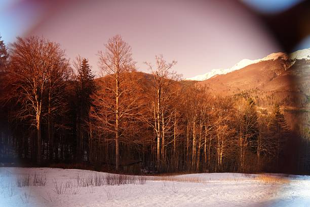 Winter landscape captured through sunglasses, showing bare trees and snowy ground under a clear sky. The sunglasses tint provides a warm filter, enhancing the scene's tranquility.