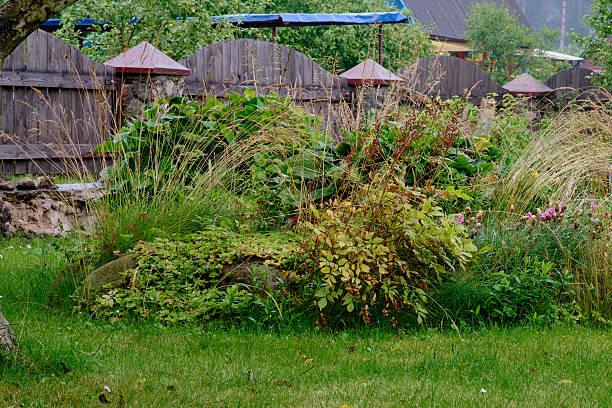 istock Vibrant green garden features various plants and structures in serene outdoor setting on a cloudy day 2224856322