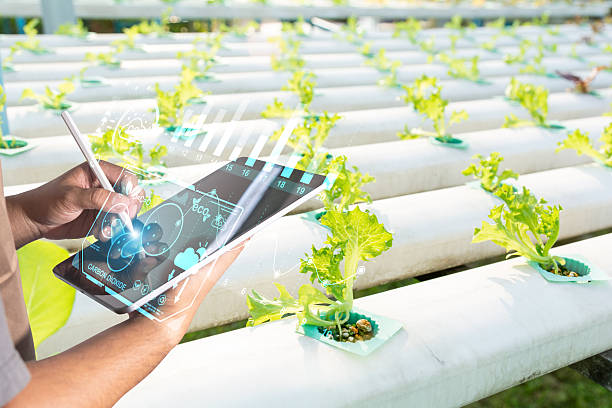 istock Smart Farming Technology in Hydroponic Agriculture 2224859853