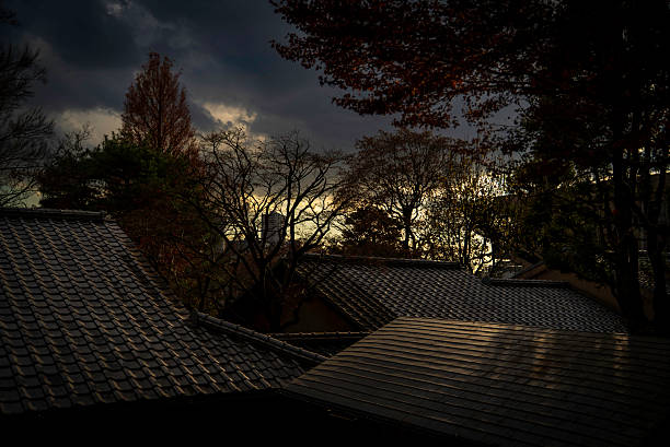 Autumn evening and roof tiles