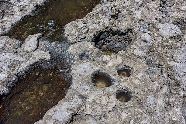 istock Guanche bowls on lava rock 2224861211