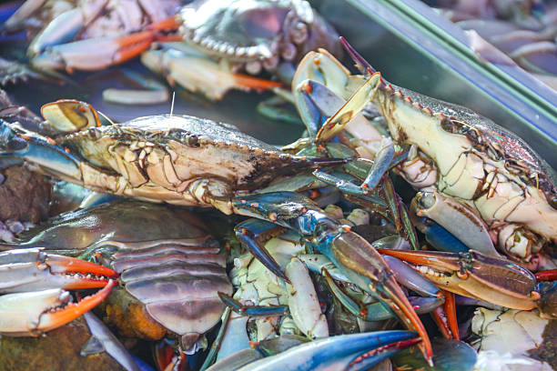 istock Raw fresh crabs for sale in fish market 2224861248