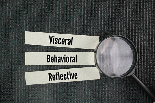 istock What is the emotional three level theory? visceral, behavioral, and reflective. Don Norman proposes the emotional system consists of three different 2224873702