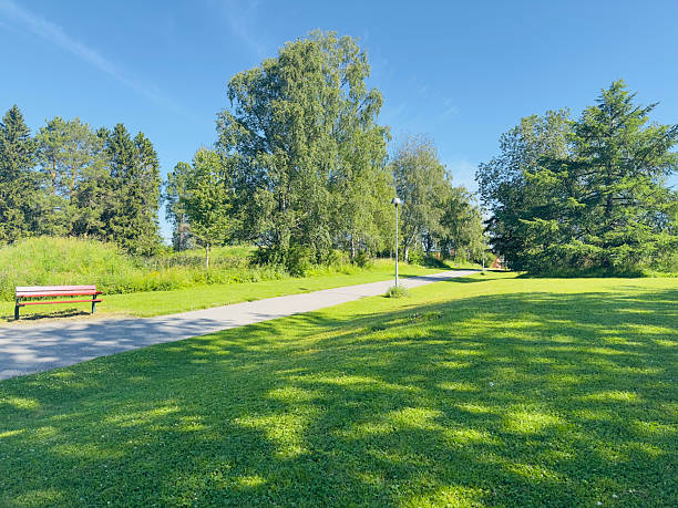 istock A peaceful park with lush greenery, perfect for a sunny day walk. 2224877267