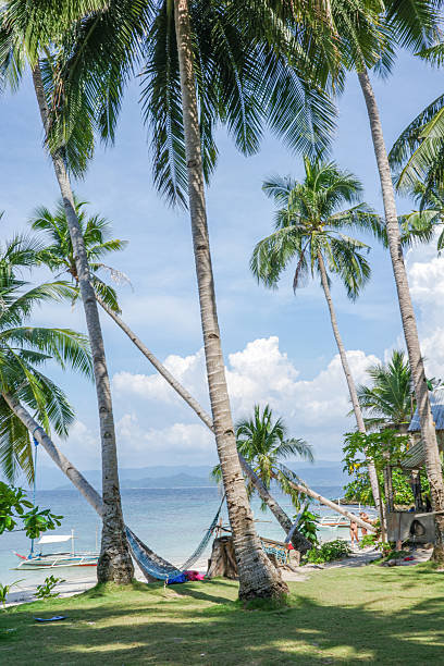 istock Two hammocks are gently strung between coconut palm trees on a quiet beachfront in Palawan, Philippines 2224877509