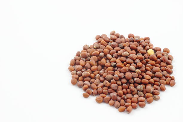 istock A beautiful simple art of leaf radish seeds bathed in light. 2224877755