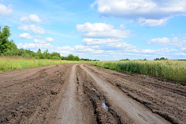 istock Muddy Rural Road Through Fields Under a blue Sky with fluffy clouds wallpaper 2224879320