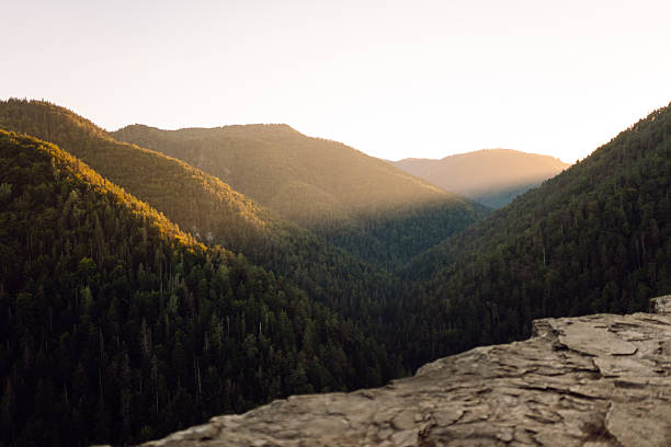 A tranquil mountain landscape in the rays of sunset. Green hills with dense forests, with the sun shining through. Nature concept.