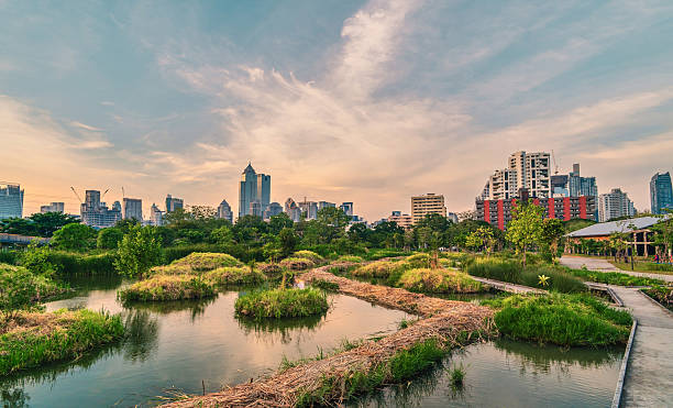 istock Benjakitti park in Bangkok, Thailand 2224880950