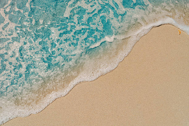 istock beautiful sandy beach, closeup, top view 2224882804