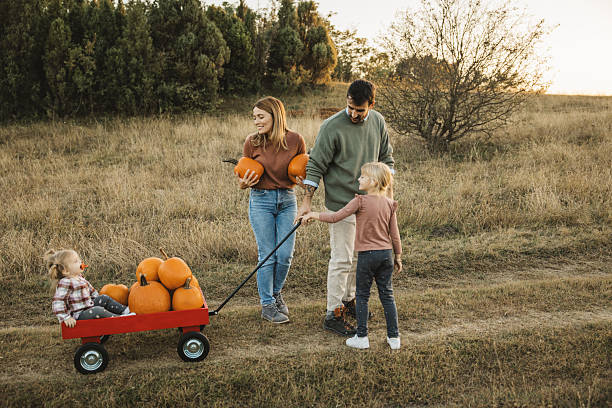 istock Young family at pumpkin patch 2224886539