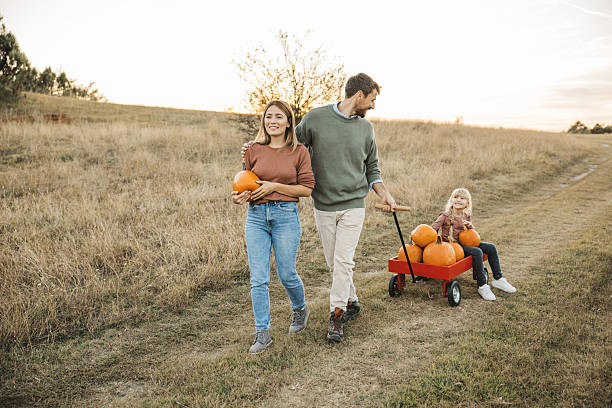istock Young family at pumpkin patch 2224886540