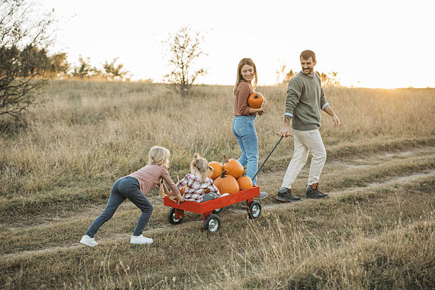 istock Young family at pumpkin patch 2224886599