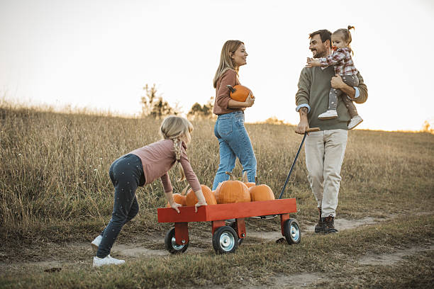 istock Young family at pumpkin patch 2224886603