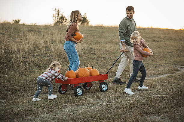 istock Young family at pumpkin patch 2224886606