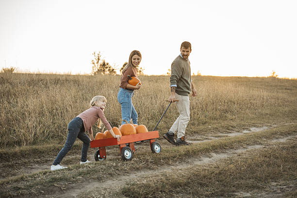 istock Young family at pumpkin patch 2224886609