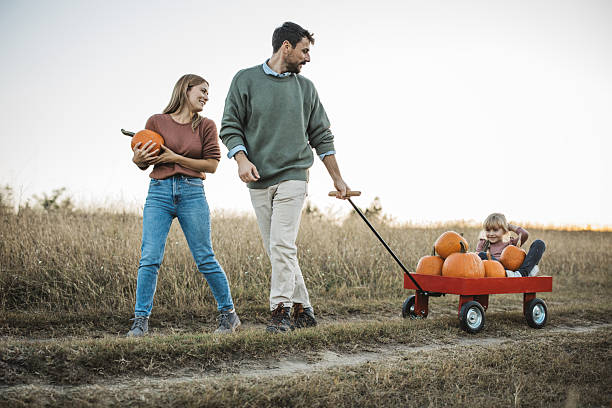 istock Young family at pumpkin patch 2224886619