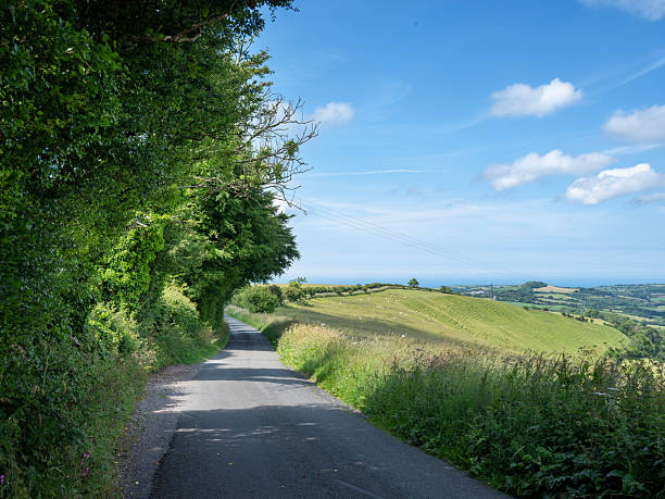 istock dorset country road on summer day with flowers and fields 2224887031