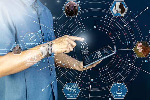istock Smart Farming and Agricultural IoT Concept 2224887989