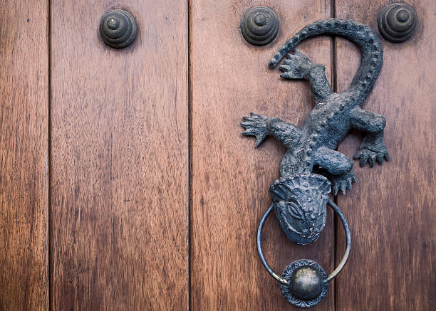istock Not Just for Knocking: When Lizards Guard Stories, Not Doors 2224889153
