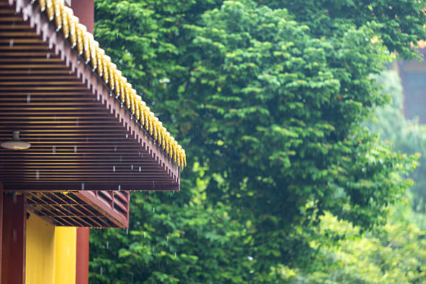Rainwater falls on the roof and flows down to the ground