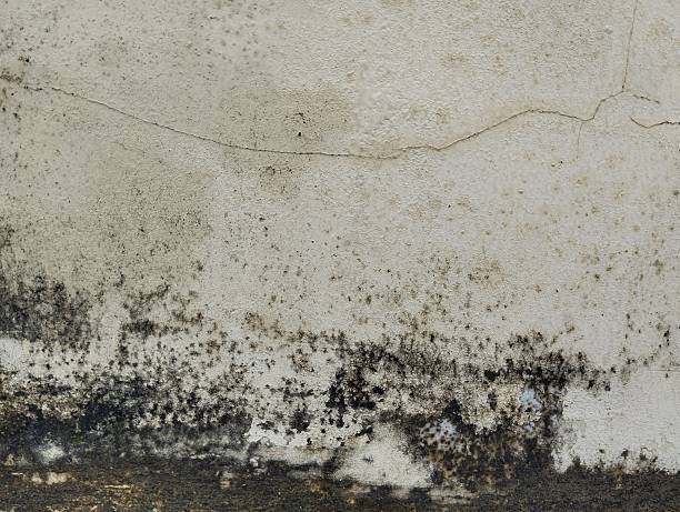 istock Abstrak grunge old wall weathered texture background 2224895232