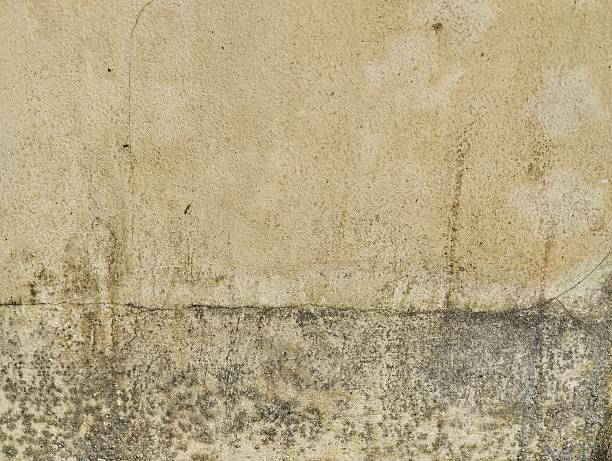 istock Abstrak grunge old wall weathered texture background 2224895250