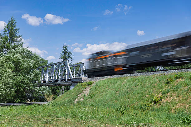 A railway train swiftly crosses a metal bridge, surrounded by vibrant green grass and trees. The scene captures a clear blue sky, emphasizing the beauty of rail travel.