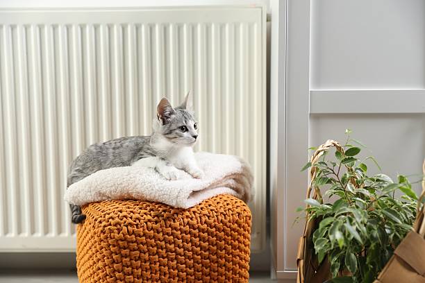 istock Cute little kitten on pouf near radiator at home 2224897113