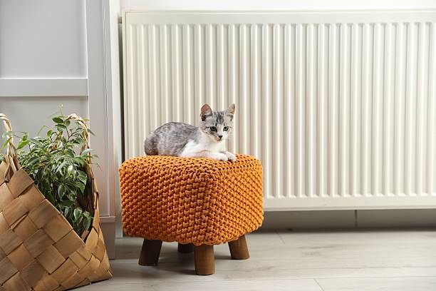 istock Cute little kitten on pouf near radiator at home, space for text 2224897122