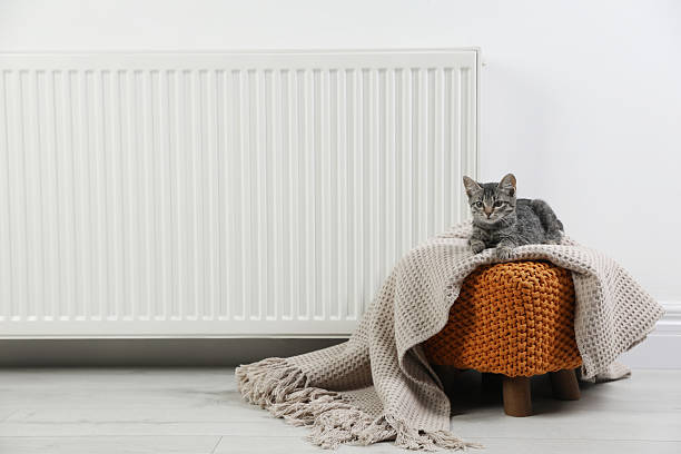 Cute little kitten on pouf near radiator at home, space for text