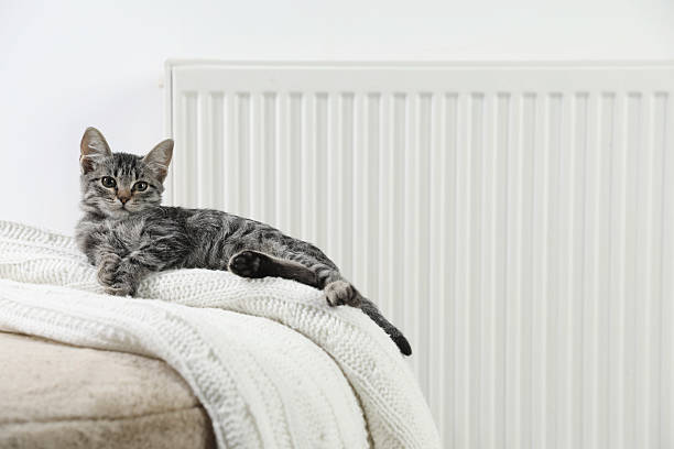 istock Cute little kitten on pouf near radiator at home, space for text 2224897359