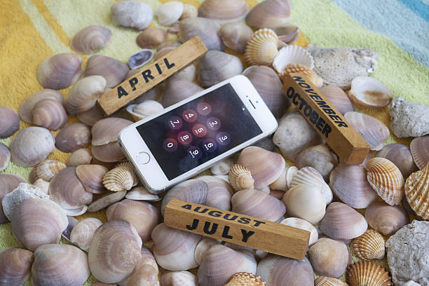smartphone on seashells with wooden month blocks, summer holiday and technology concept, beach background