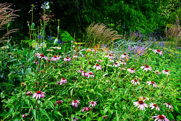 istock Pink flower with a butterfly 2224900077