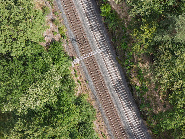 istock Visual representation of rail travel infrastructure through a scenic forest landscape showcasing railway tracks and surroundings 2224901055