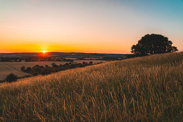 istock Golden sunset illuminating rolling hills and fields in the countryside 2224902433