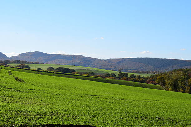 istock wide green fields and autumn forest 2224909261